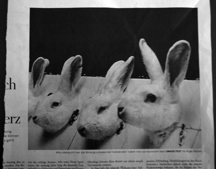tierversuche.jpg